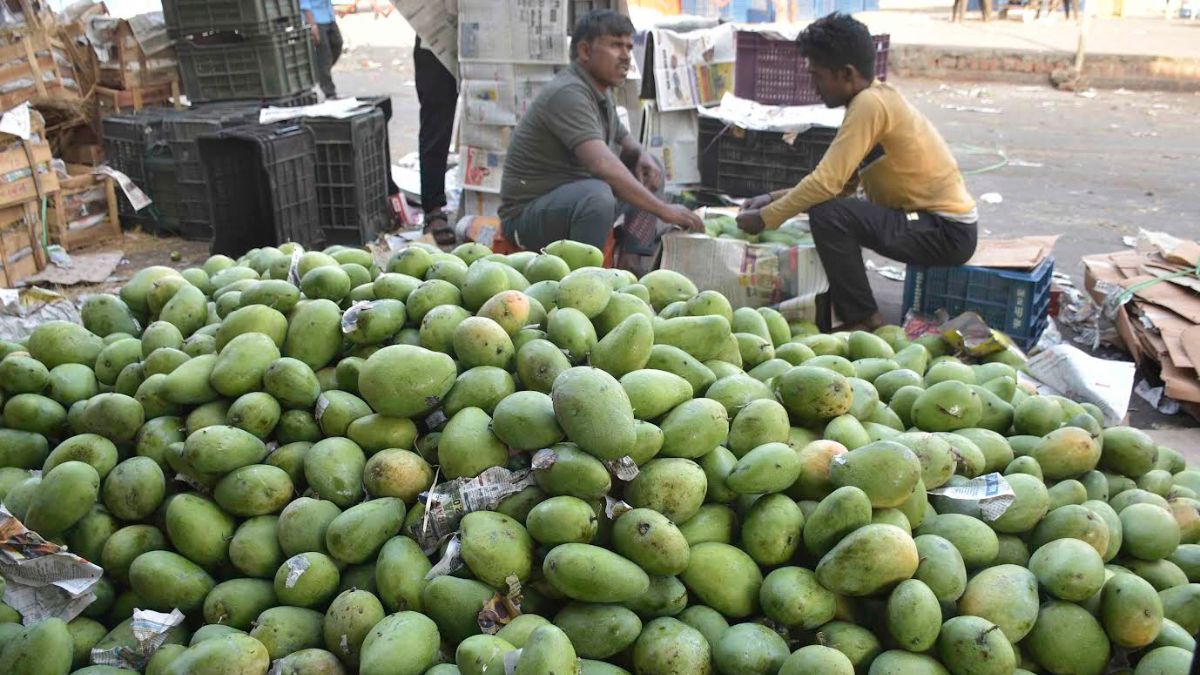 Katki keri pickle (diced sweet mango pickle)