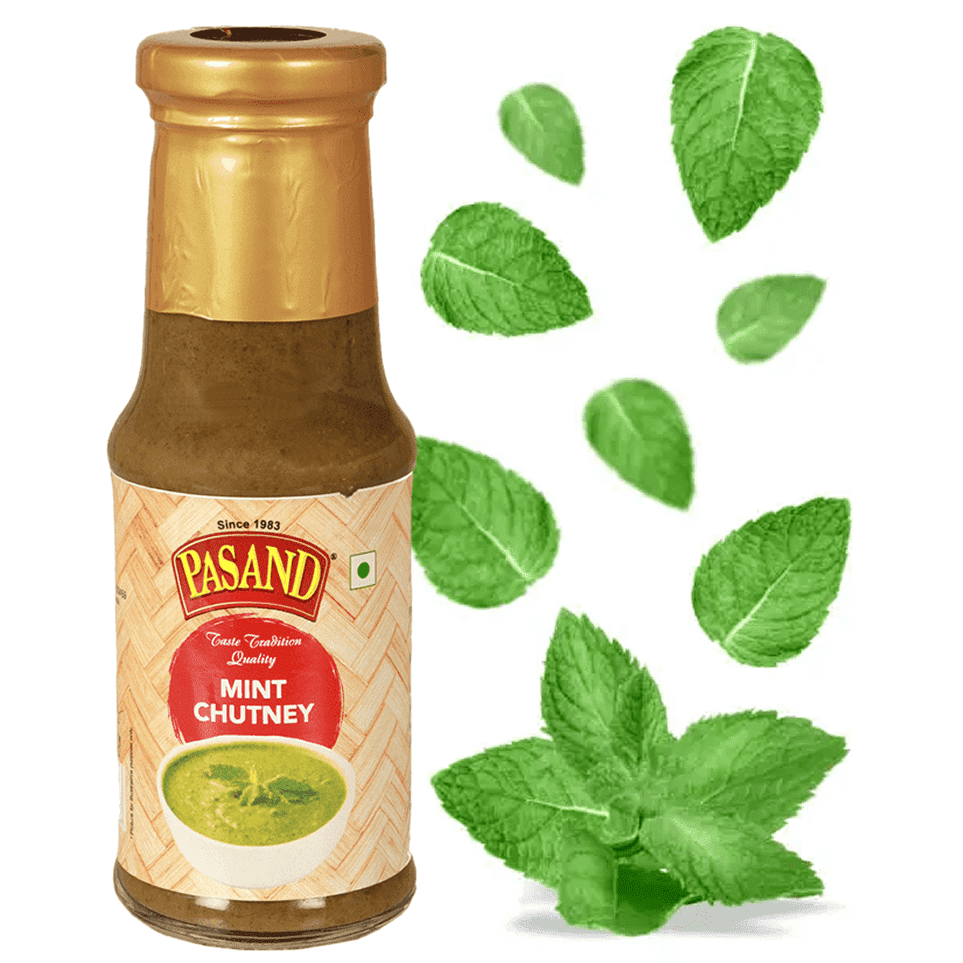 Mint Chutney (pudina chutney)